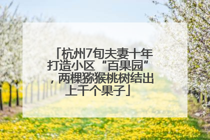 杭州7旬夫妻十年打造小区“百果园”，两棵猕猴桃树结出上千个果子