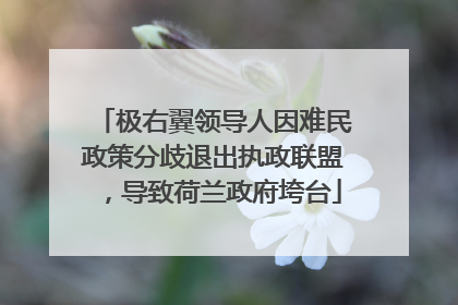 极右翼领导人因难民政策分歧退出执政联盟，导致荷兰政府垮台
