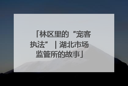 林区里的“宠客执法”｜湖北市场监管所的故事