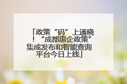 政策“码”上通晓！“成都惠企政策”集成发布和智能查询平台今日上线