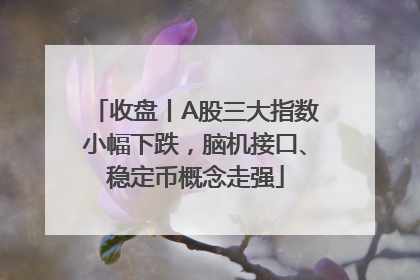 收盘丨A股三大指数小幅下跌，脑机接口、稳定币概念走强