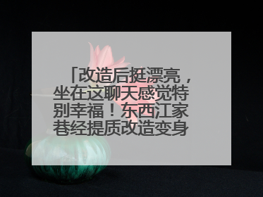 改造后挺漂亮，坐在这聊天感觉特别幸福！东西江家巷经提质改造变身居民自治幸福家