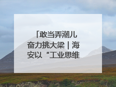 敢当弄潮儿 奋力挑大梁｜海安以“工业思维”拓宽共富路