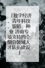 数字经济、青年科技、银龄、种业 济南专项支持四个细分领域人才队伍建设