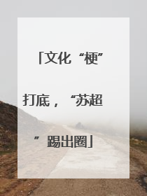 文化“梗”打底，“苏超”踢出圈