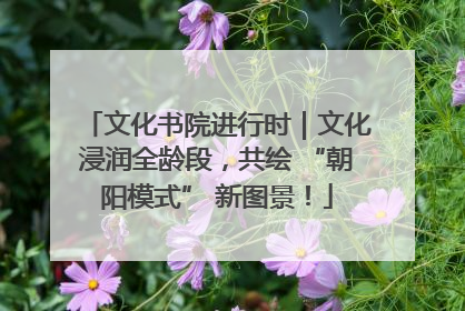 文化书院进行时｜文化浸润全龄段，共绘 “朝阳模式” 新图景！