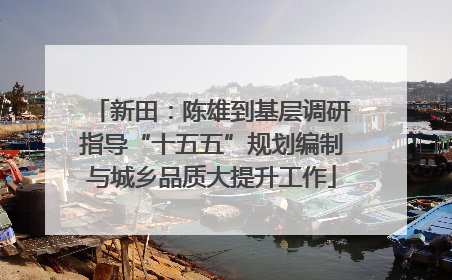 新田：陈雄到基层调研指导“十五五”规划编制与城乡品质大提升工作