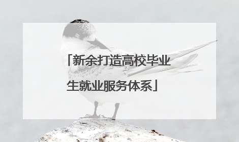 新余打造高校毕业生就业服务体系
