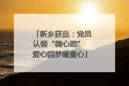 新乡获嘉：党员认领“微心愿” 爱心圆梦暖童心
