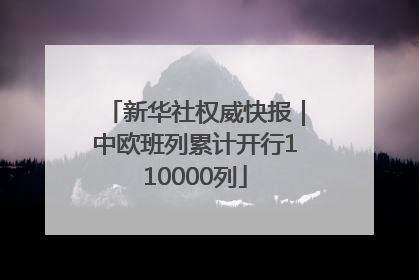 新华社权威快报｜中欧班列累计开行110000列