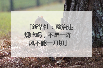 新华社：整治违规吃喝，不是一阵风不能一刀切
