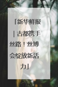 新华鲜报｜古都携手丝路！丝博会绽放新活力
