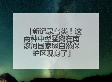 新记录鸟类！这两种中型猛禽在南滚河国家级自然保护区现身了