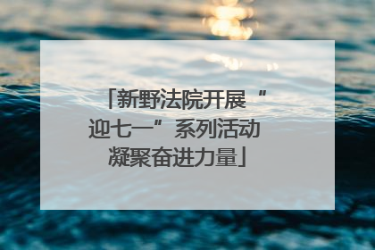 新野法院开展“迎七一”系列活动 凝聚奋进力量