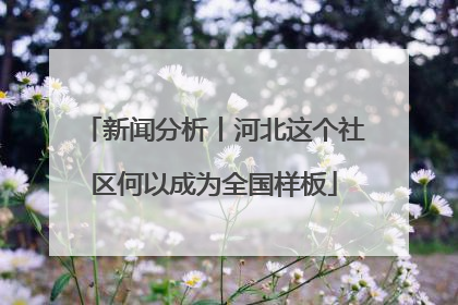 新闻分析丨河北这个社区何以成为全国样板