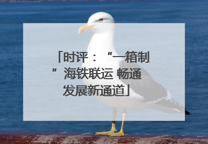 时评：“一箱制”海铁联运 畅通发展新通道