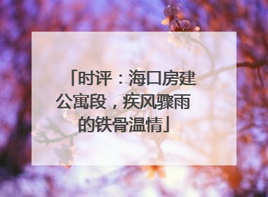 时评：海口房建公寓段，疾风骤雨的铁骨温情