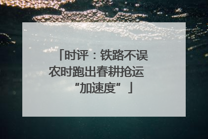 时评：铁路不误农时跑出春耕抢运“加速度”