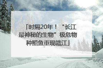 时隔20年！“长江最神秘的生物”极危物种鳤鱼重现赣江
