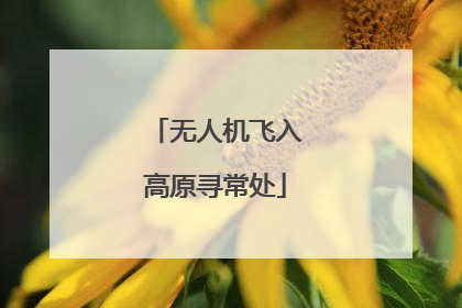 无人机飞入高原寻常处