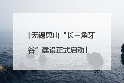 无锡惠山“长三角牙谷”建设正式启动