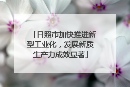 日照市加快推进新型工业化，发展新质生产力成效显著