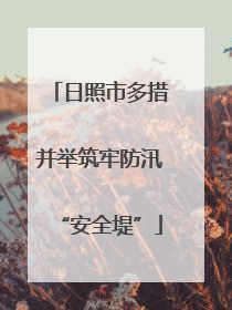 日照市多措并举筑牢防汛“安全堤”