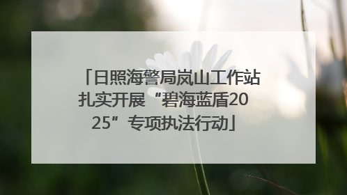 日照海警局岚山工作站扎实开展“碧海蓝盾2025”专项执法行动