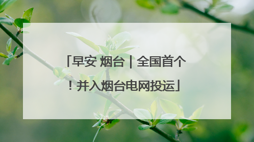 早安 烟台｜全国首个！并入烟台电网投运