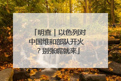 明查｜以色列对中国维和部队开火？别张嘴就来