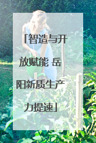 智造与开放赋能 岳阳新质生产力提速