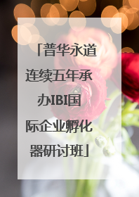 普华永道连续五年承办IBI国际企业孵化器研讨班
