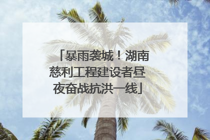 暴雨袭城！湖南慈利工程建设者昼夜奋战抗洪一线