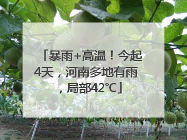 暴雨+高温！今起4天，河南多地有雨，局部42℃
