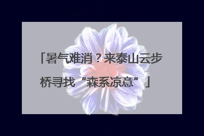 暑气难消？来泰山云步桥寻找“森系凉意”