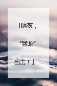 暗夜，“猛龙”出击！