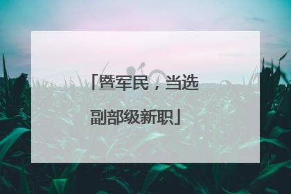 暨军民，当选副部级新职
