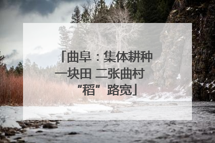 曲阜：集体耕种一块田 二张曲村“稻”路宽