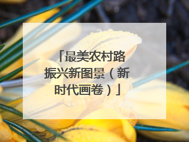 最美农村路 振兴新图景（新时代画卷）
