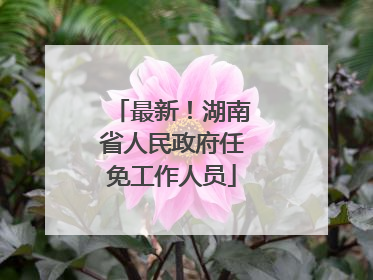 最新！湖南省人民政府任免工作人员