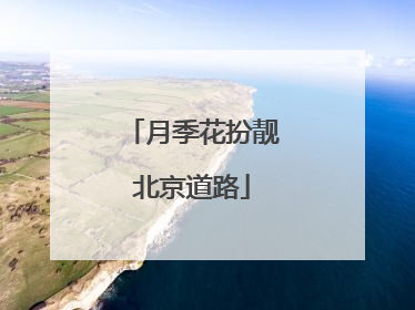 月季花扮靓北京道路
