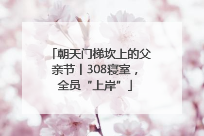 朝天门梯坎上的父亲节丨308寝室，全员“上岸”