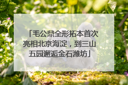 毛公鼎全形拓本首次亮相北京海淀，到三山五园邂逅金石潍坊