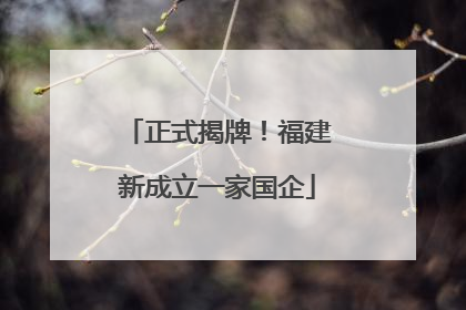 正式揭牌！福建新成立一家国企