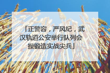 正警容，严风纪，武汉轨道公安举行队列会操锻造实战尖兵