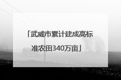 武威市累计建成高标准农田340万亩