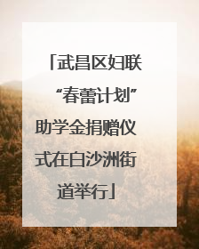 武昌区妇联“春蕾计划”助学金捐赠仪式在白沙洲街道举行
