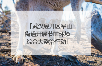 武汉经开区军山街道开展节前环境综合大整治行动