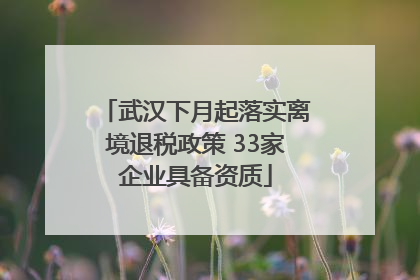 武汉下月起落实离境退税政策 33家企业具备资质