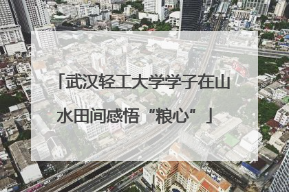 武汉轻工大学学子在山水田间感悟“粮心”